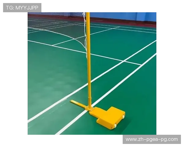 羽毛球球场地线